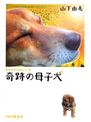 cover image of 奇跡の母子犬